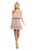 Strapless Tiered Mini Tube Dress – Mauve
